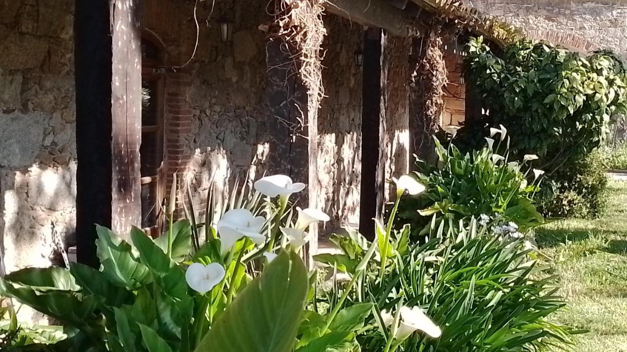 Vila Casa Rural El Refugi Platja D'Aro 4 Romanyá de la Selva Exteriér fotografie