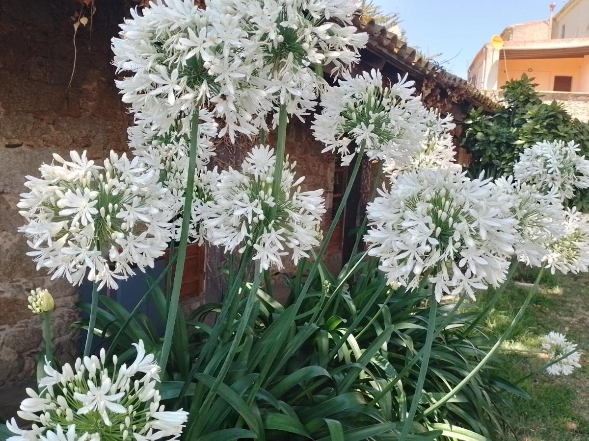 Casa Rural El Refugi Platja D'Aro 4 Romanyá de la Selva Exteriér fotografie